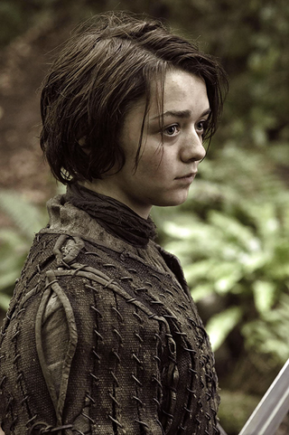 Illustration for article titled Games of Thrones Season 3 Promo Photos